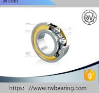 [Hot Item] High Temperature Resistant Bearing 6705 RS 6704 6703 6702 6701  6700 RS or Zz Thin Walled Deep Groove Ball Bearing