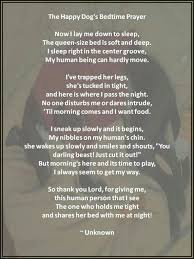 Cute Dog Bedtime Poem Bedtime Prayer Happy Dogs Prayers