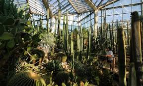 Tropicarium Palengarten Frankfurt Botanical Gardens Frankfurt Gorgeous Gardens