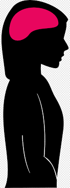 Woman Silhouette Female Head People Head Png Pngegg Including transparent png clip art, cartoon, icon, logo, silhouette, watercolors, outlines, etc. pngegg