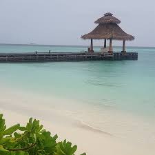 Take a deep refreshing dive at Baros Maldives