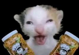 images?q=tbn:ANd9GcQD-PF8Yq0xJ6LcWFfkMP8WBz8sioYALBUifg&s