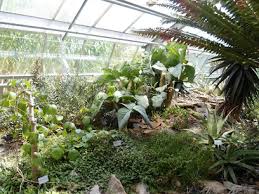 Offizielle homepage des botanischen gartens karlsruhe. Trfihi Parks Parks Botanischer Garten Der Universitat Wurzburg
