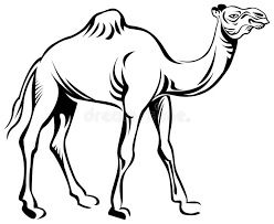 The hoof or foot of the beast. Camel Hoof Stock Illustrations 233 Camel Hoof Stock Illustrations Vectors Clipart Dreamstime