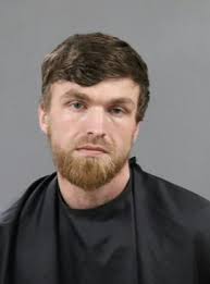 Man charged after 8 dogs found dead