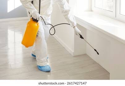 Targeted Pest Inspection