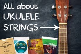 Discover recipes, home ideas, style inspiration and other ideas to try. Ukulele Strings Learn To Play The Ukulele