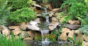 Image result for garden pond ideas