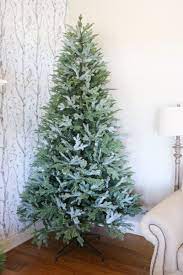 Drawing of the largest recorded noble fir, on yellowjacket creek robert van pelt ( van pelt 1996 ). Noble Fir Christmas Trees Balsam Hill Noble Fir Christmas Tree Best Artificial Christmas Trees Christmas Tree