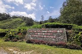 Ini kerana teh di ladang ini ditanam di tanah rendah yang mempunyai suhu yang sederhana, tidak seperti ladang teh yang. The Top 10 Malaysia Plantation Tours W Prices