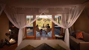Dubbo accommodation, dubbo zoo accommodation, 140 motel style rooms and apartments. Glamping At Taronga S Western Plains Zoo Dubbo New South Wales
