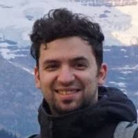 Radu Vlad Email & Phone Number