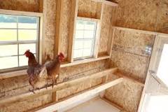 8x8 Plymouth Chicken Coop - FARM + YARD Central Texas