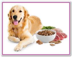 Pin On Best Dog Food