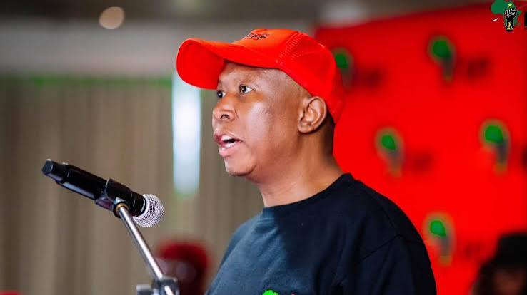 Julius Malema fuelled AfriForum growth – Newsday