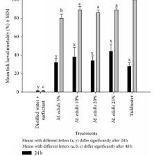 Image result for Maerua edulis