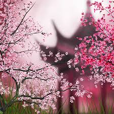Tons of awesome sakura wallpapers to download for free. Sakura Live Wallpaper Apps On Google Play