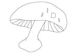 Coloriage Fleurs Fruits Et Legumes Champignon 02 10 Doigts