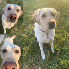 Profile for Juliana Rose LMT