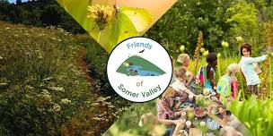Friends of Somer Valley Community Picnic