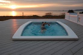 The designer has added a glass wall around it to separate the area from the rest of the backyard. Small Inground Pools 5 Reasons Why Swim Spas Are The Way To Go