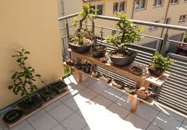Bonsai Auf Einem Bonsairegal Japanischer Garten Bonsai Terrasse Pflanzen
