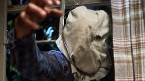 Watch Friday the 13th: Part 2 | Netflix