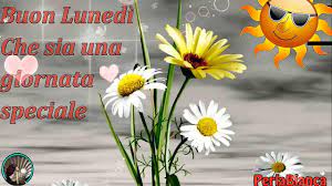 Video Buon Lunedi E Buon Inizio Settimana Buongiorno Video In 2021 Good Morning Flowers Gif Good Morning Flowers Good Morning Beautiful Gif