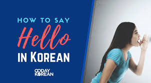 The memes usually start with the phrase let's say. How To Say Hello In Korean Your Guide To Greetings
