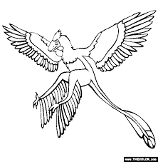 See also these coloring pages below star wars coloring pages han solo. Microraptor Coloring Pages Dinosaurs Pictures And Facts