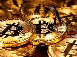 With this, there are cases in which people who purchased cryptocurrencies in the market, but in the end left them in others as the holder, the. 5 Crypto Linked Stocks To Buy An Altcoin To Double In Value Wedbush