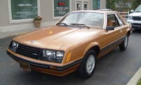 Image result for Chamois 1980 Motor Home