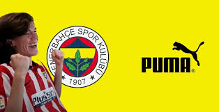 The company receives broadcast, stadium, advertising, sponsorship, licensing and merchandising rights revenues. Fenerbahce Bleacher Report Latest News Scores Stats And Standings