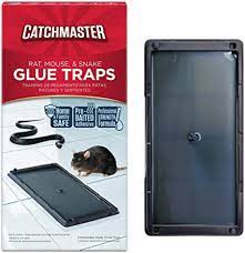 The catchmaster brand was born in brooklyn and lives in jersey. Amazon Com Catchmaster 402 Baited Rat Mouse And Snake Glue Traps Professional Strength 8 Pack Home Pest Control Traps Garden Outdoor