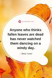 Pin On Inspirational Quotes