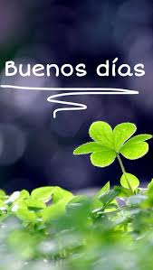 Lindos mensajes de buen día a un ser querido. 470a51db727b7544a8c2f3c1b0653226 Jpg 542 960 Pixeles Saludos De Buenos Dias Frases De Buenos Dias Mejores Imagenes De Buenos Dias