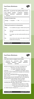 Food Chains Food Chain Worksheets This Handy Worksheet Gives Your Children The Opportunity To Show How Muc Food Chain Biology Worksheet Food Chain Activities