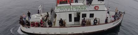 244 likes · 29 were here. Avenger Morro Bay Landing