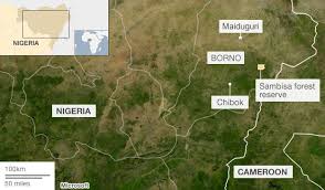 Image result for sambisa forest