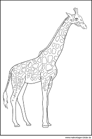 Weitere ideen zu giraffen zeichnen giraffen und zeichnen. Giraffe Malvorlagen Zum Ausdrucken