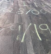 All your pets needs in one stop Canon City S Skyline Drive Could Be Closed At Night After Recent Vandalism Krdo