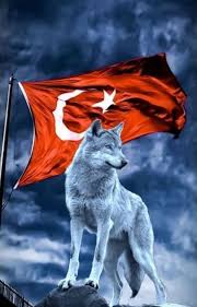 rap lar cilgin disi kedi asya tarihi hayvan logosu