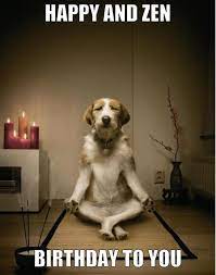 Top 100 Original And Funny Happy Birthday Memes Happy Birthday Meme Happy Birthday Yoga Holiday Memes Funny