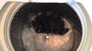 Find washing machines at wayfair. Lg Top Load Washer Soak Cycle Youtube