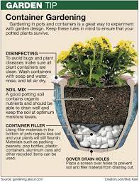 Container Gardening Tip Container Gardening Garden Containers Plants