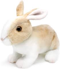 Details on xander stuffed bunnies: Amazon Com Ridley The Rabbit 11 Inch Realistic Stuffed Animal Plush Bunny By Tiger Tale Toys Toys Games