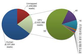 pie chart summary of mapping of illumina reads from specimen