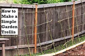 Pole beans are among the easiest legumes to grow, especially when trained up a trellis to reduce bending and stooping at harvest time. How To Make A Rustic Pea Or Bean Trellis Out Of Sticks One Hundred Dollars A Month