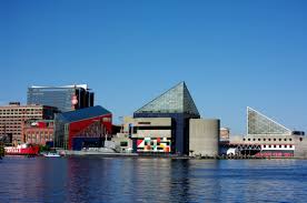 National Aquarium Baltimore Visit Maryland Visiting Concrete Jungle