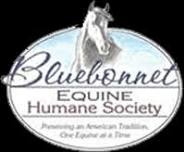 Bluebonnet Horse Expo